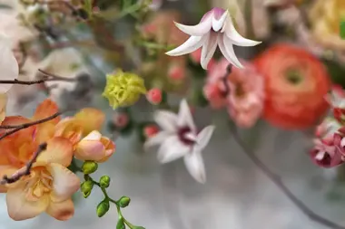 Florale Gestaltung Anja Ersing